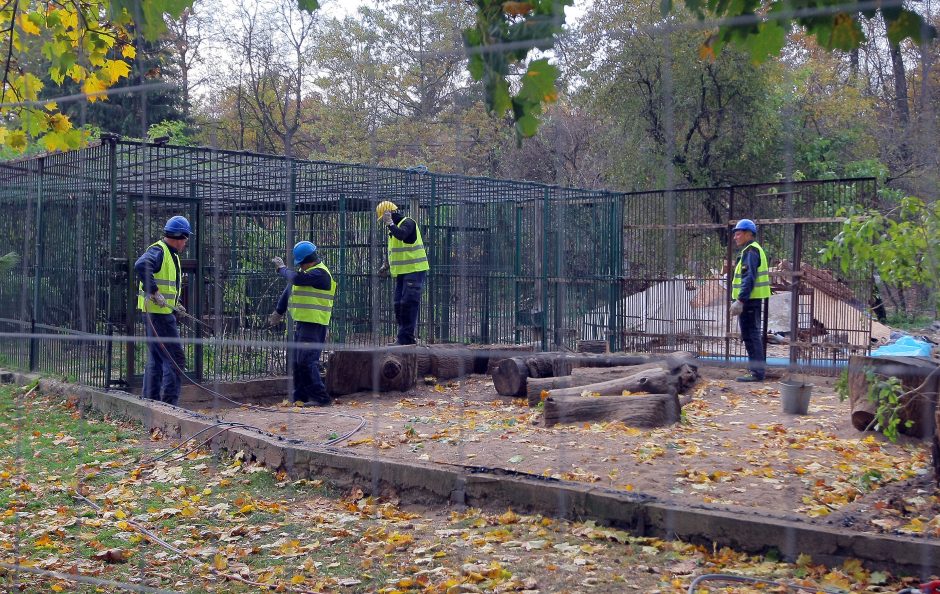 Zoologijos sodo rekonstrukcija: išgriauti voljerai, statybų pradžia ir atidarymo nuotaikos