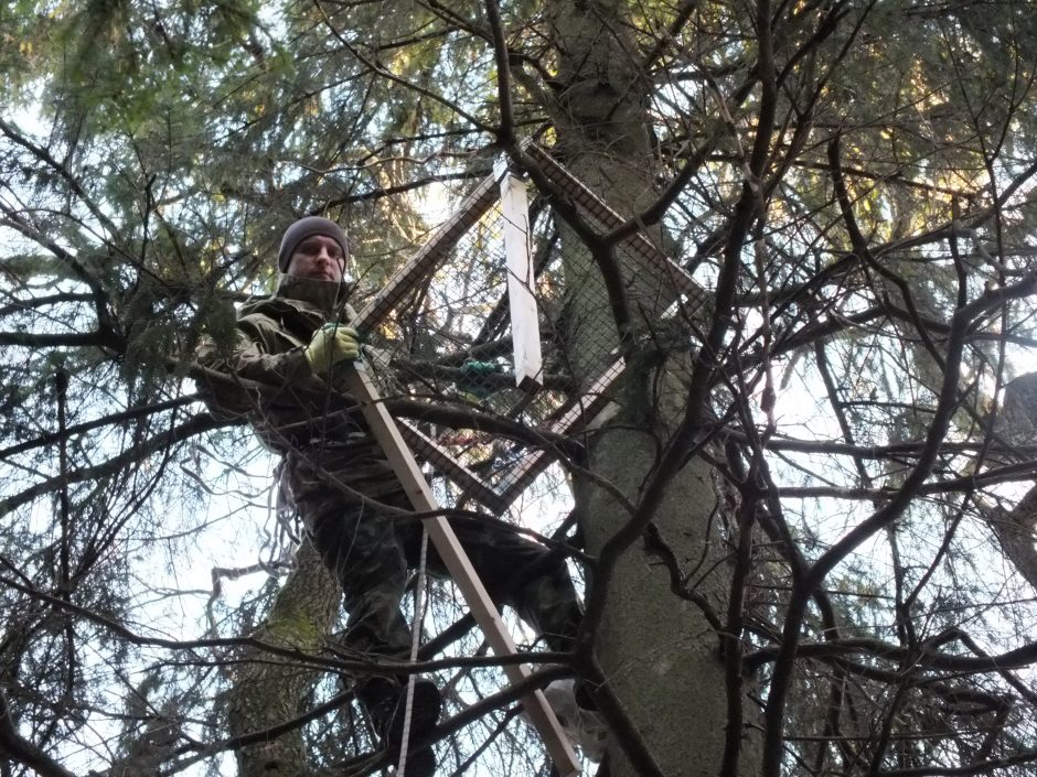 Kvietimas prisidėti prie mokslinėmis žiniomis pagrįstos paukščių apsaugos