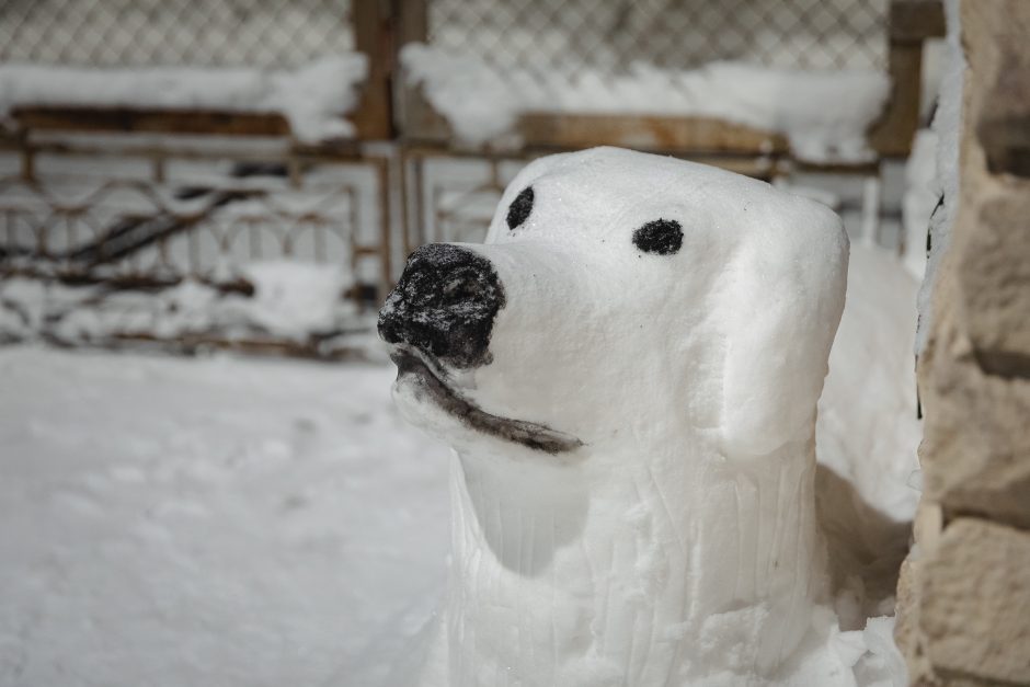 Žaliakalnyje – amą atimančios sniego skulptūros