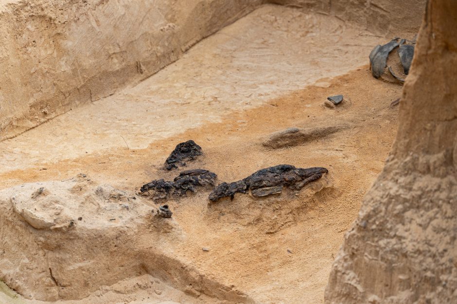 Verkių dvarvietės parke Vilniuje archeologai rado XIII–XIV amžių kapus