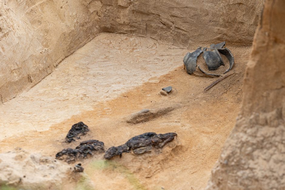 Verkių dvarvietės parke Vilniuje archeologai rado XIII–XIV amžių kapus