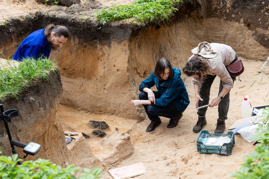 Verkių dvarvietės parke Vilniuje archeologai rado XIII–XIV amžių kapus