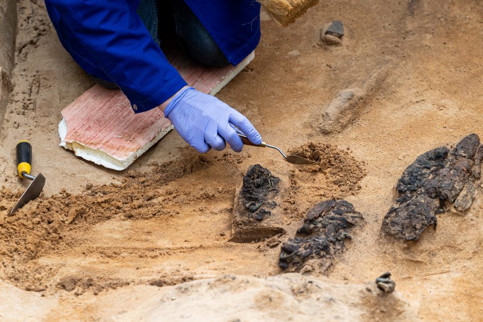 Verkių dvarvietės parke Vilniuje archeologai rado XIII–XIV amžių kapus