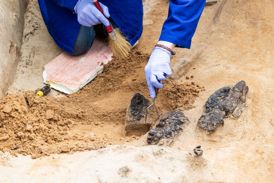 Verkių dvarvietės parke Vilniuje archeologai rado XIII–XIV amžių kapus