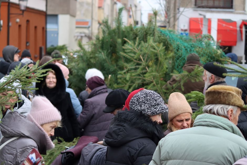 Eglišakių dalybos: išgraibstė akimirksniu