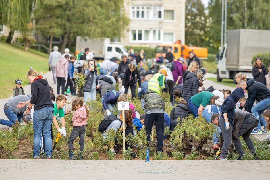 Vilniečiai Justiniškėse kartu pasodino apie 4 tūkst. krūmų