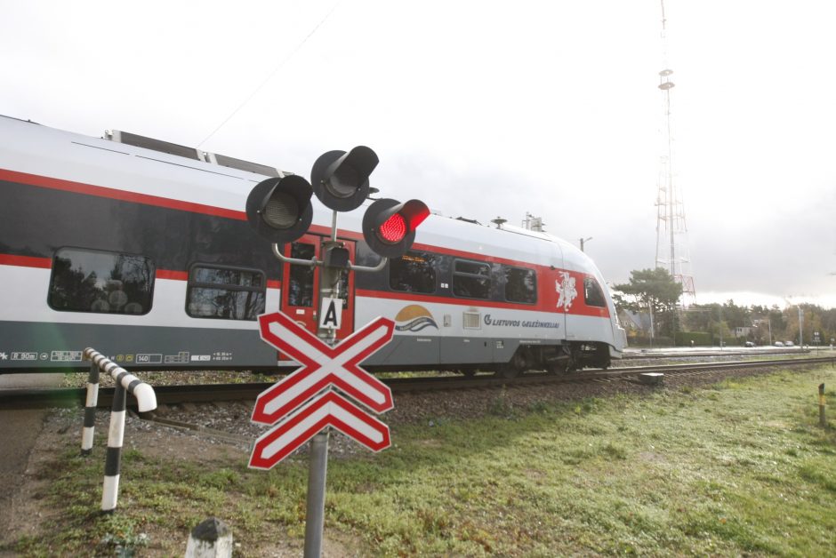 Apklausa dėl Girulių miško bus tęsiama: nuomonę pareikšti spėjo ne visi