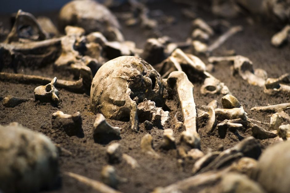 Tiesiant kelią Kazlų Rūdoje rasti žmogaus kaulų fragmentai