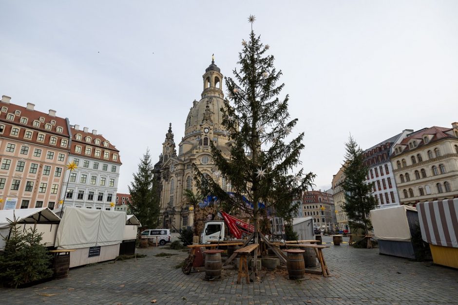Drezdene pastatyta bene bjauriausia Kalėdų eglė: nuplikusi, su aplaužytomis šakomis