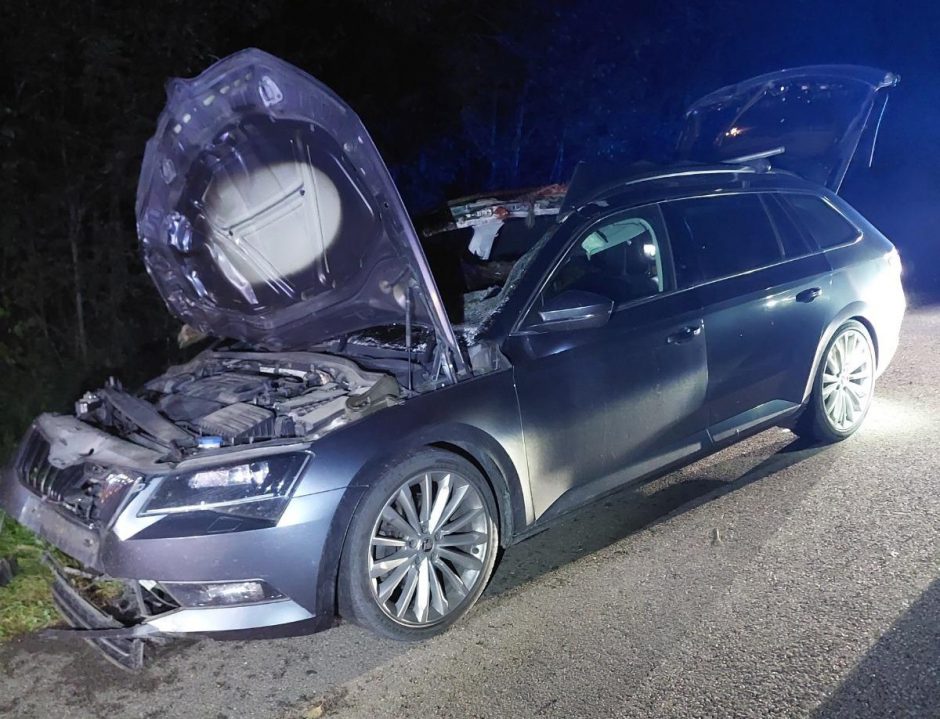 Baisus įvykis Kėdainių rajone: į mašinos saloną įlėkęs briedis nugaišo, vairuotojas – ligoninėje
