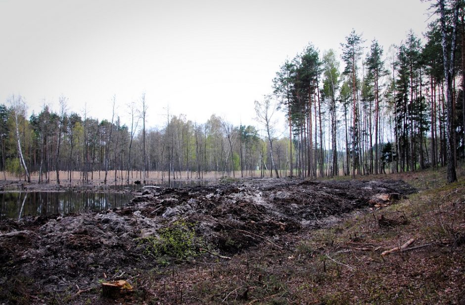 Aplinkosaugininkai Vilniaus apskrityje fiksavo pažeistus medžius, sunaikintą mišką