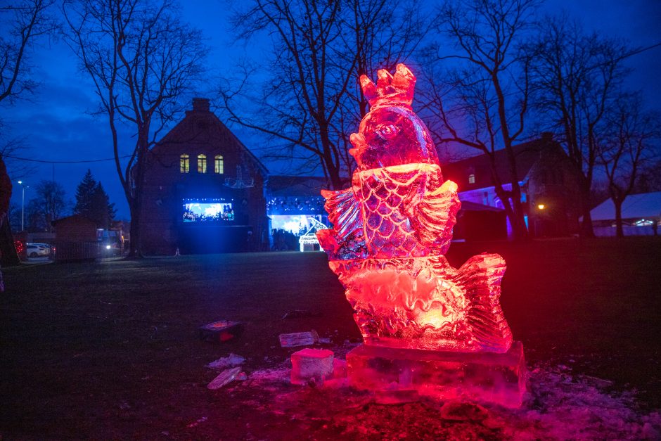 Įžiebta Kauno rajono kalėdinė eglutė