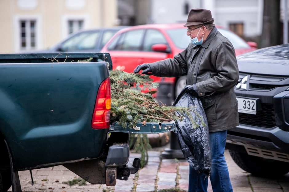 Miškininkų akcija sugrįžo: kauniečiai į namus parsinešė tūstančius eglišakių