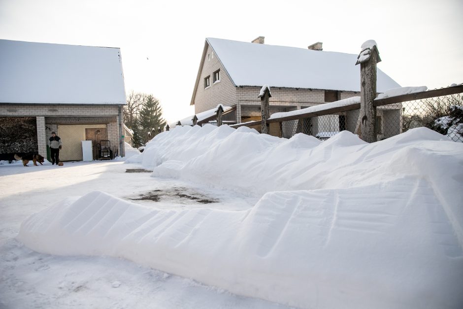 Neatsilaikė ir skulptorius: savo kieme Raudondvaryje nutupdė 22 metrų ilgio sniego drakoną