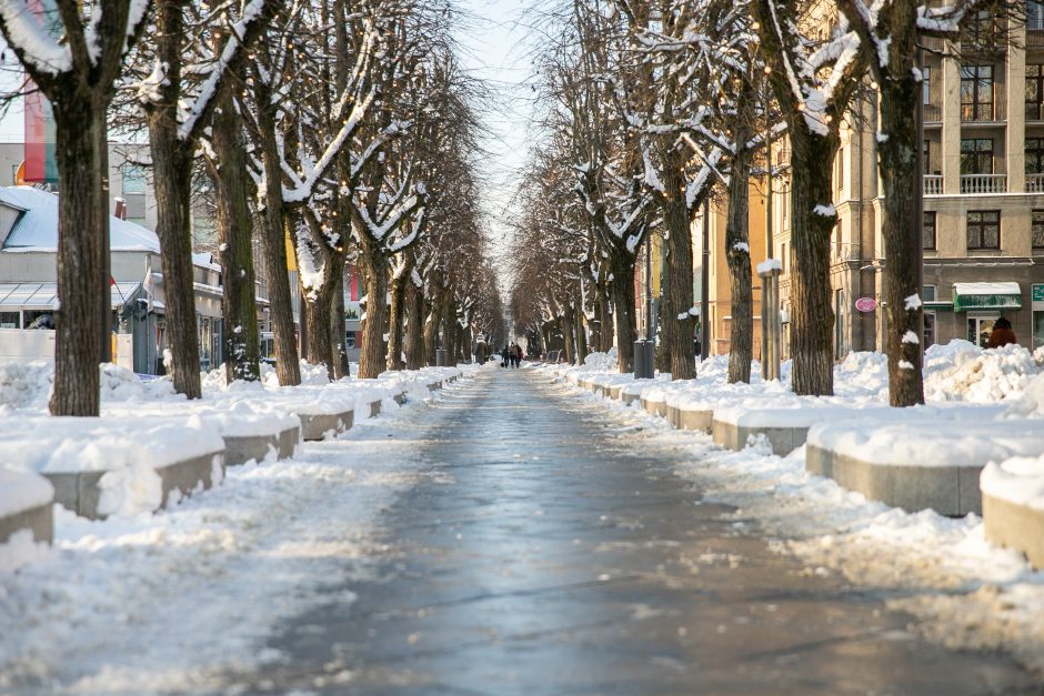 Kokie dar pokyčiai laukia Laisvės alėjoje?