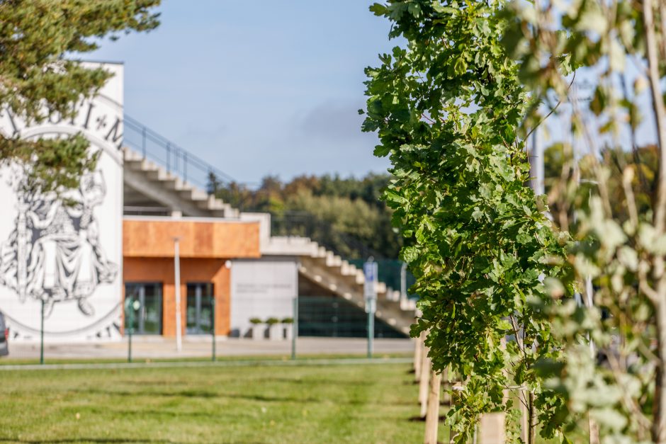 Šalia sporto centro stiebsis V. Adamkaus ąžuolai