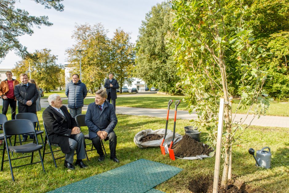 Šalia sporto centro stiebsis V. Adamkaus ąžuolai