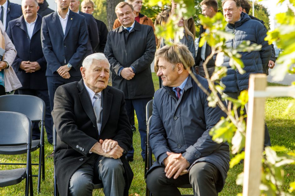 Šalia sporto centro stiebsis V. Adamkaus ąžuolai