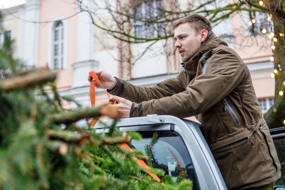 Kalėdos jau keliauja į kauniečių namus: prie nemokamų eglės šakų žmonių – kaip koncerte