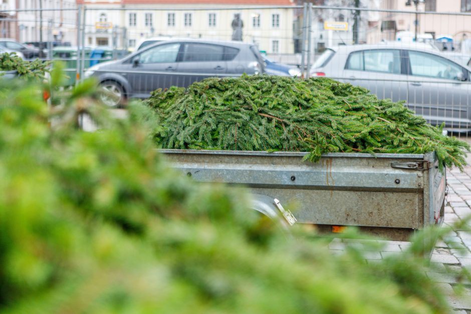 Kalėdos jau keliauja į kauniečių namus: prie nemokamų eglės šakų žmonių – kaip koncerte