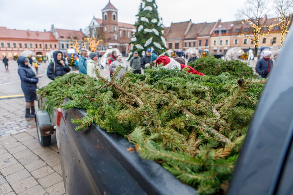 Kalėdos jau keliauja į kauniečių namus: prie nemokamų eglės šakų žmonių – kaip koncerte