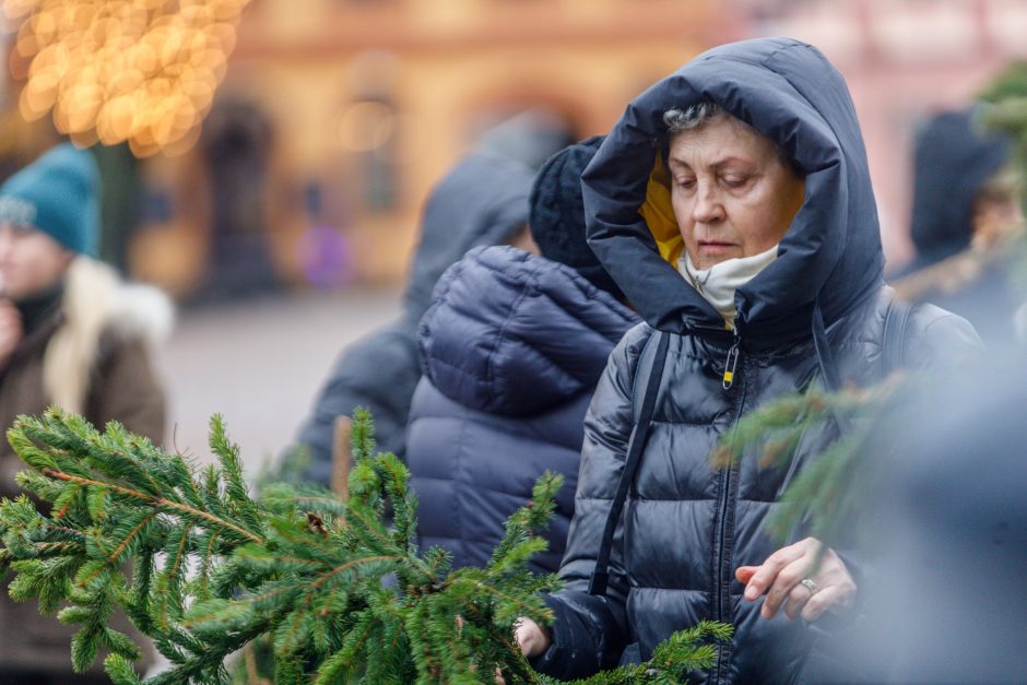 Kalėdos jau keliauja į kauniečių namus: prie nemokamų eglės šakų žmonių – kaip koncerte