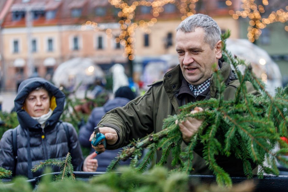 Kalėdos jau keliauja į kauniečių namus: prie nemokamų eglės šakų žmonių – kaip koncerte