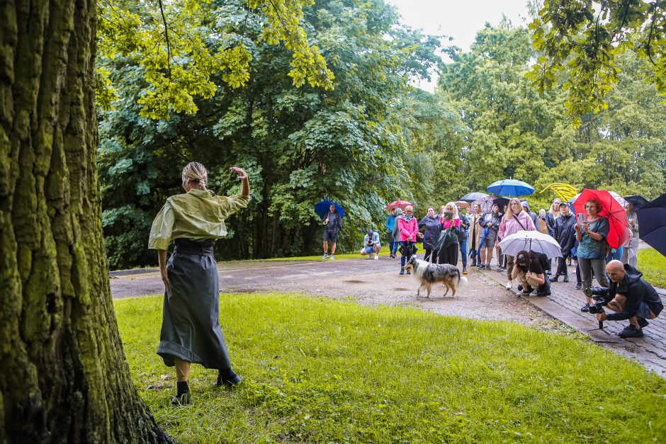 Šokio ekskursijai po Žaliakalnį lietus suteikė išskirtinio šarmo