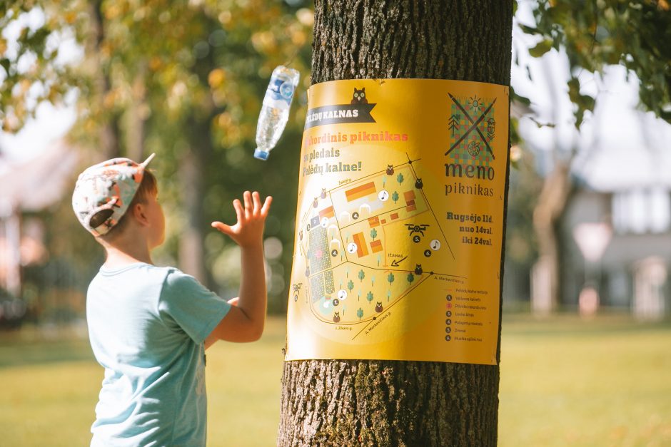 Pelėdų kalne siekia Lietuvos meno pikniko rekordo