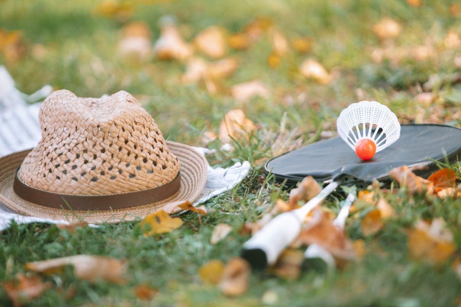 Pelėdų kalne siekia Lietuvos meno pikniko rekordo