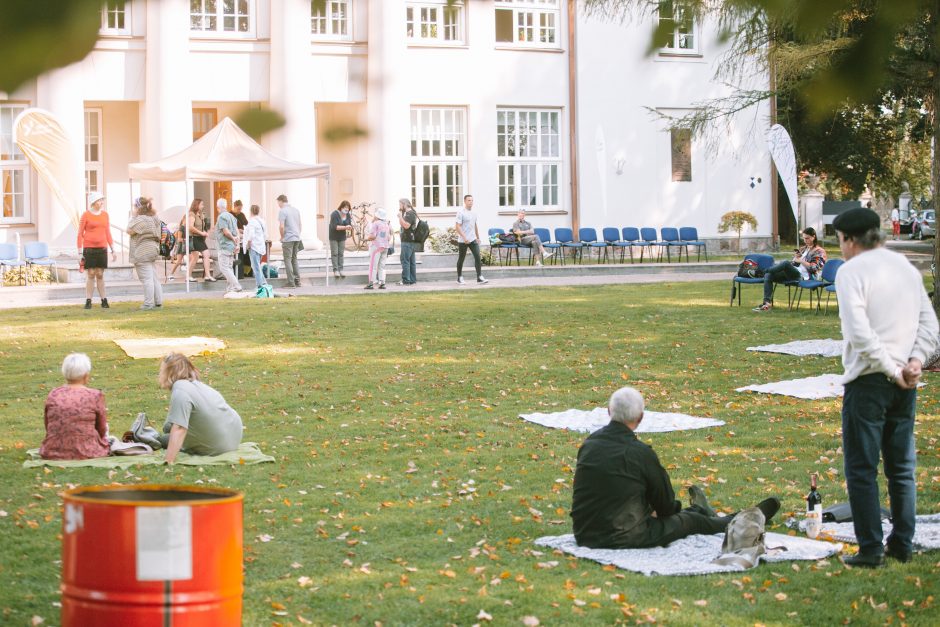 Pelėdų kalne siekia Lietuvos meno pikniko rekordo