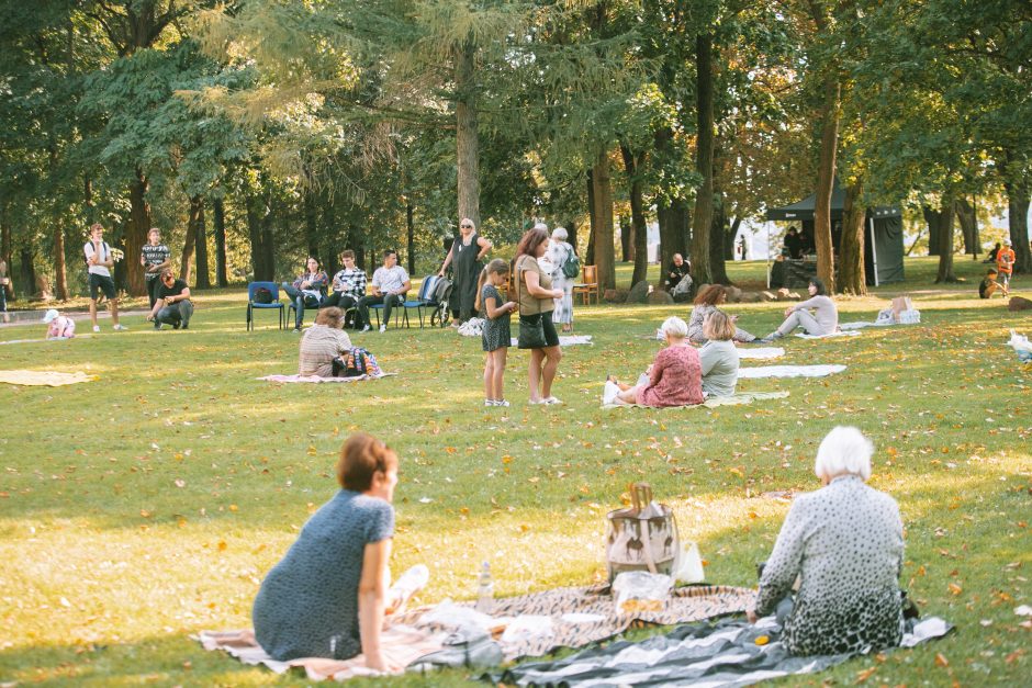 Pelėdų kalne siekia Lietuvos meno pikniko rekordo