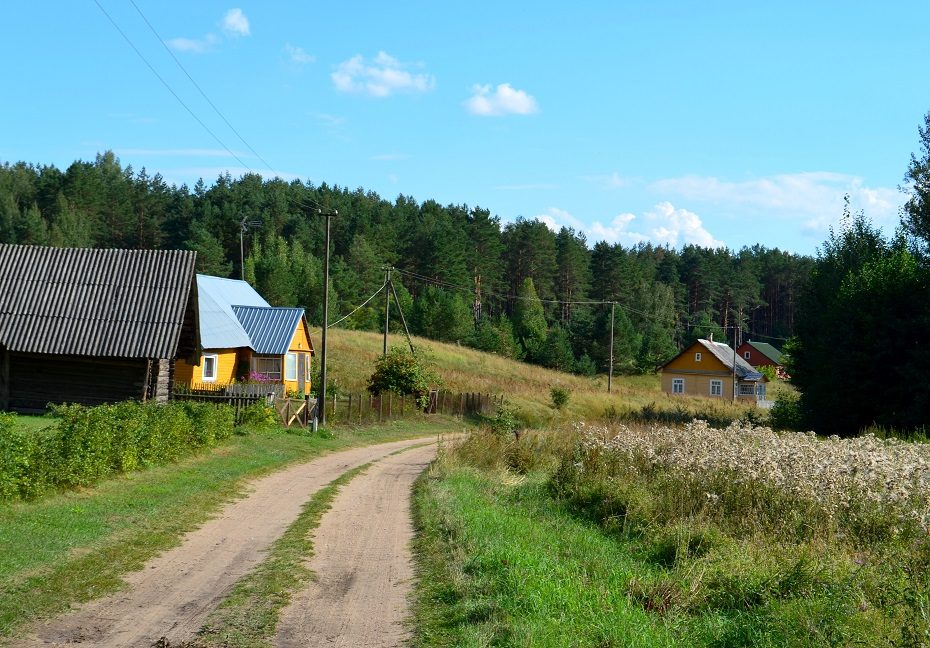 Sengirės fondas išpirko mišką Kapiniškių kraštovaizdžio draustinyje