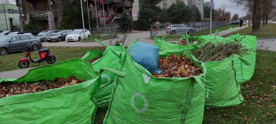 Lapkritis įsibėgėja, baigia nukristi paskutiniai medžių lapai – kur juos dėti