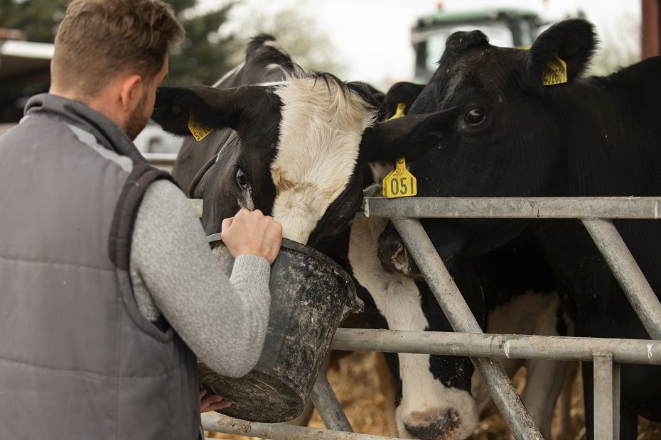 ŽŪM: 10,66 mln. eurų ES parama – ūkiams, gaunantiems iki 40 centų už litrą pieno