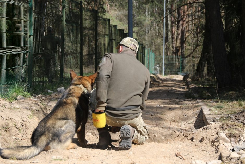 Šunys Ukrainoje gelbės gyvybes: lietuviai moko juos ieškoti minų