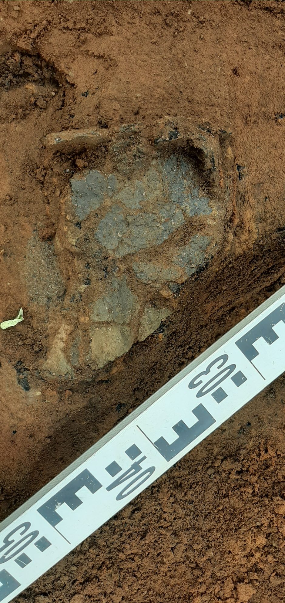 Archeologų aptikti radiniai liudija: Zapyškio istoriją teks perrašyti