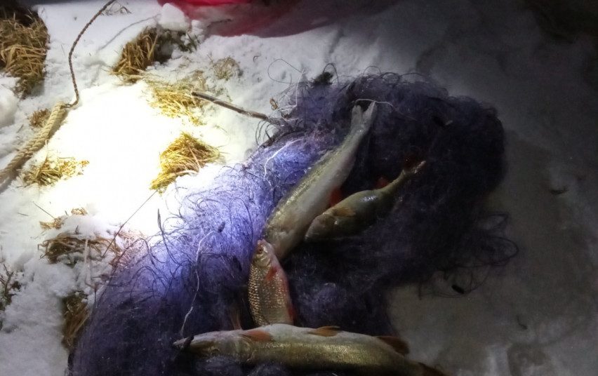 Tinklais žvejoję pažeidėjai nepasimoko: aplinkosaugininkams įkliuvo nebe pirmąsyk