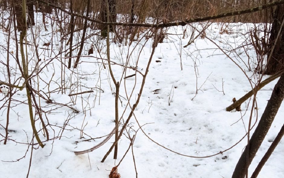 Per savaitę apie galimus pažeidimus aplinkosaugininkai gavo virš 300 pranešimų