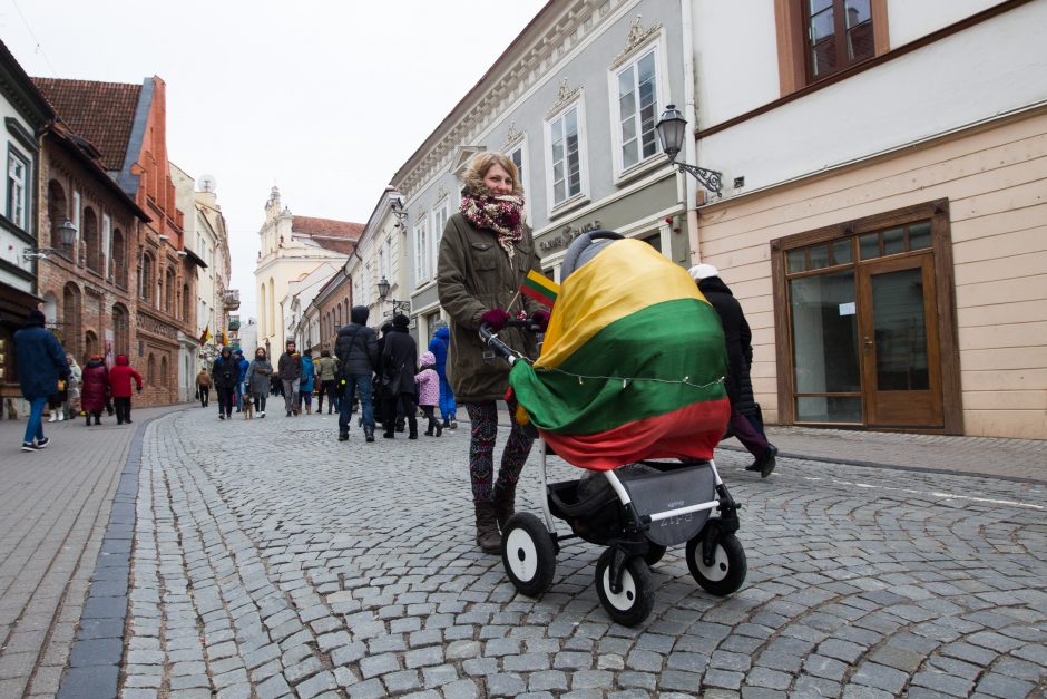 Ekspertė: jeigu žmonės susirūpinę Lietuvos ateitimi, tai turėtų gimdyti daugiau vaikų