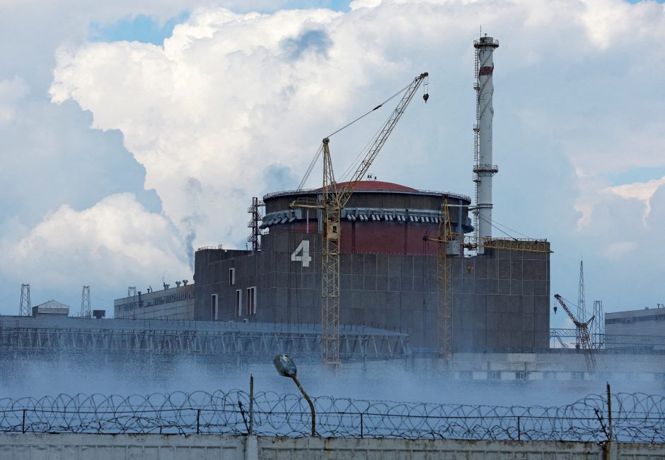 Ukraina: Rusija planuoja sujungti atominę elektrinę su Krymu