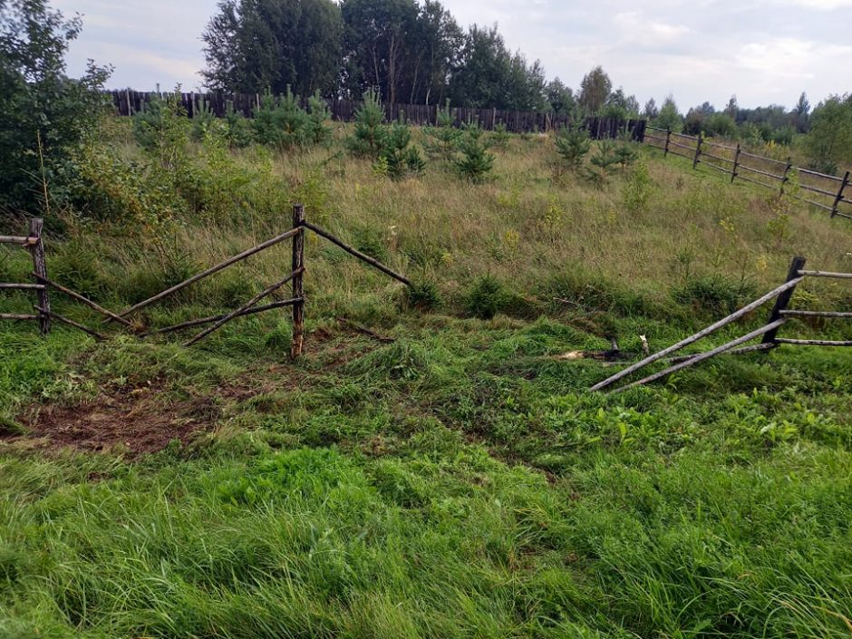 Alytaus rajone – išgriauta tvora: kaltininkas pasišalino iš įvykio vietos