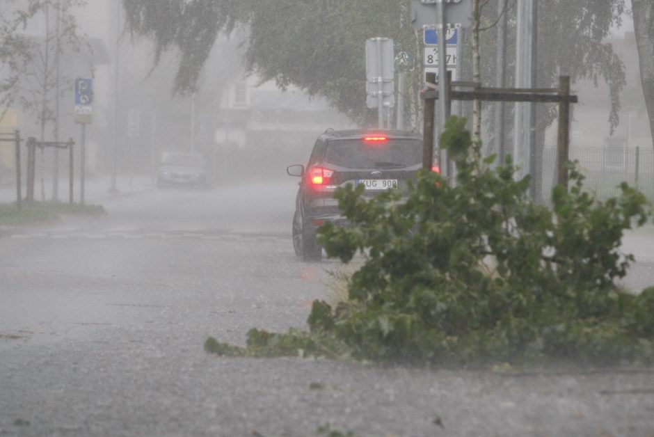 Per parą ugniagesiai daugiau nei 60 kartų vyko šalinti nuvirtusių medžių