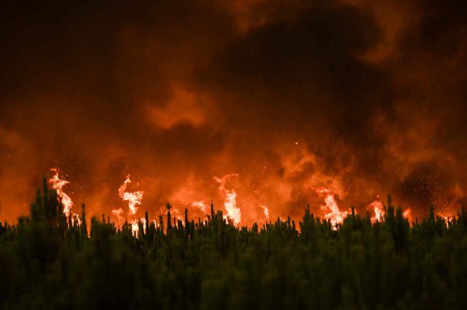 E. Macronas: dar penkios ES šalys ateina į pagalbą Prancūzijai kovoti su miškų gaisrais