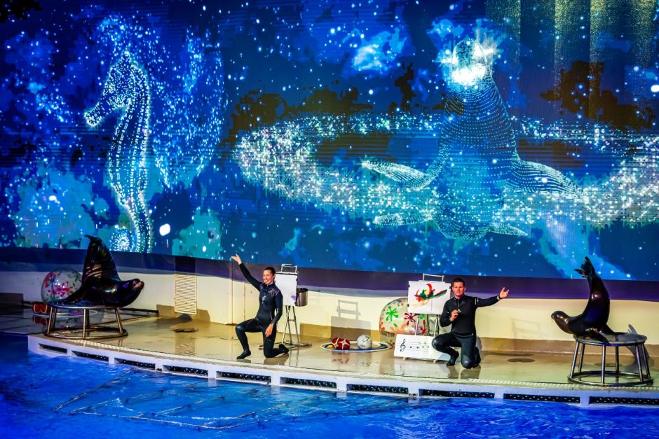 Lietuvos jūrų muziejaus lankytojams pristatomas naujas delfinų pasirodymas