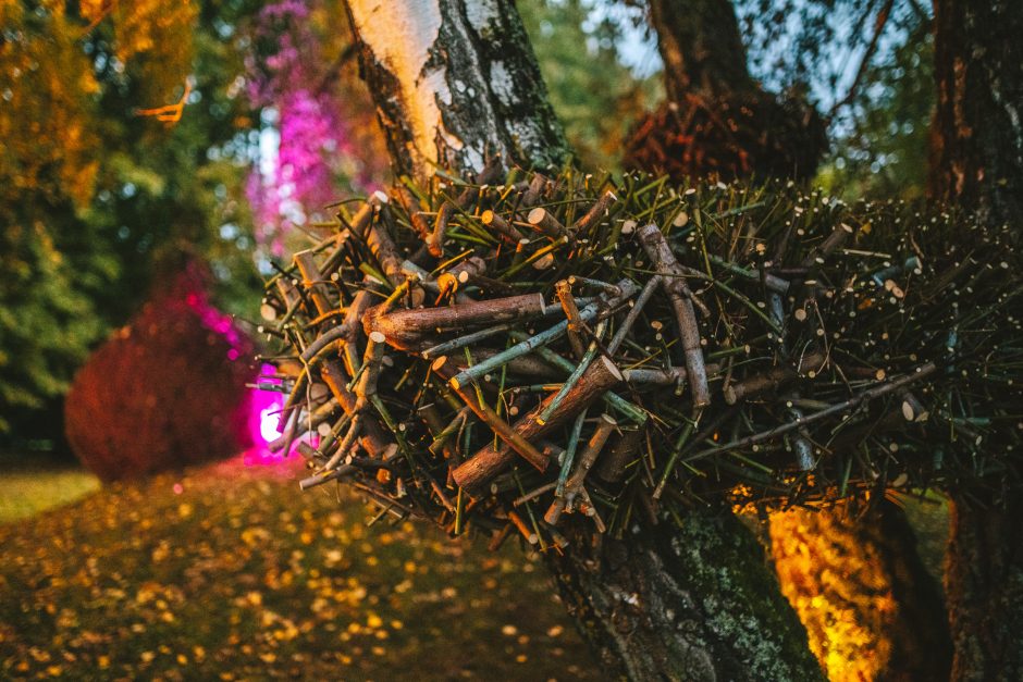 Kauno rajone sužibės smaragdai – kviečia unikalus kultūrinis maršrutas