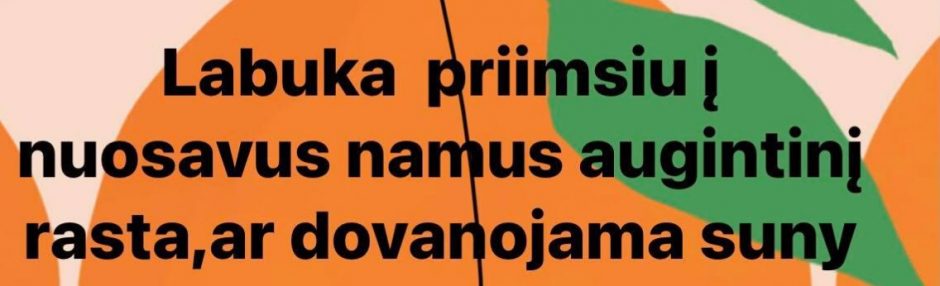 Panevėžyje savo šunį mačete mirtinai užkapojęs recidyvistas ieškosi naujo augintinio