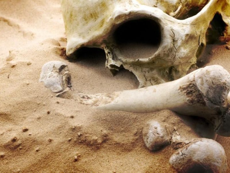 Į miestelį Lazdijų rajone atvežtame žemės grunte – kaukolė ir kaulai