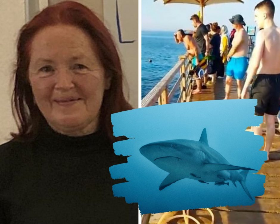 Paaiškėjo kraupių detalių apie ryklių pražudytas moteris: gelbėtojai tik juokėsi iš turistų