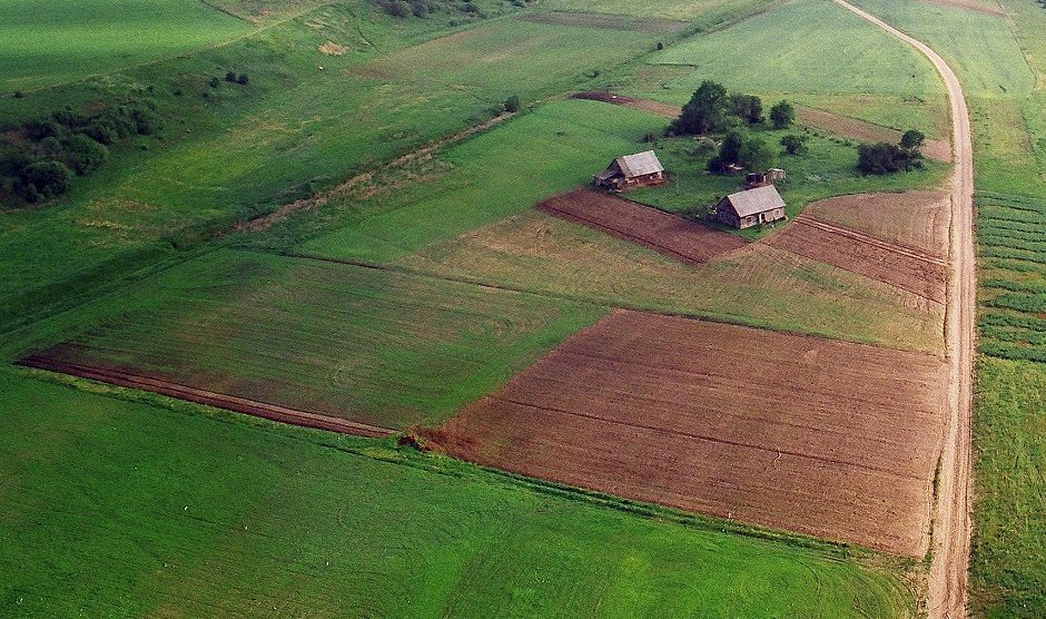 Viceministras: pasėlių deklaravimo tempas yra labai didelis